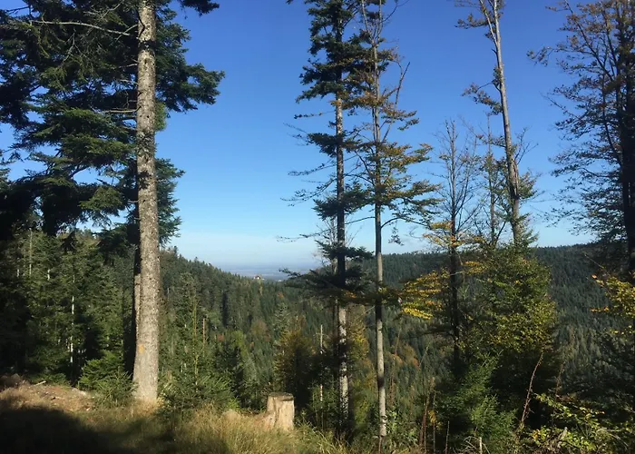 Maison De Vacances, Vue Magnifique