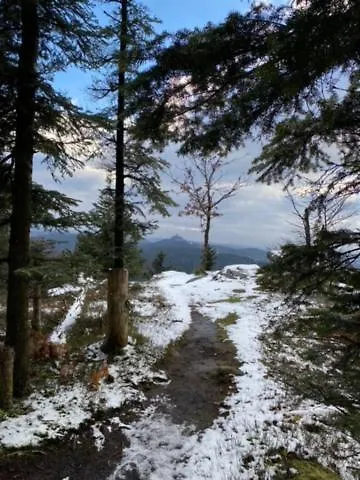 Maison Independante, Vue Magnifique Дом отдыха Dabo