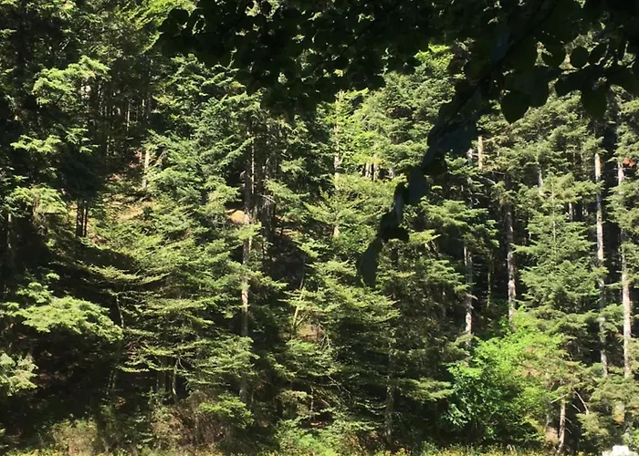 Maison De Vacances, Vue Magnifique Holiday home *